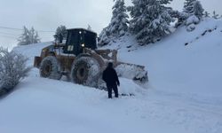 O ilde 196 köy yolu kapalı, 39 köyde elektrik yok!