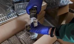 Kaçak sigara operasyonu: 1 gözaltı