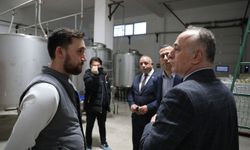 Sarıcakaya'da zeytin ve zeytinyağı üretimi hızla artıyor