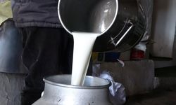 Çiğ süt fiyatları belli