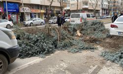 Eskişehir'de şiddetli fırtına devam ediyor: Ağaçlar devrildi!