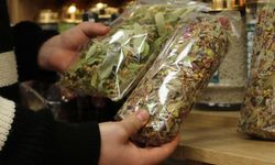 Bağışıklık sistemi için doğal kürlere ilgi çok