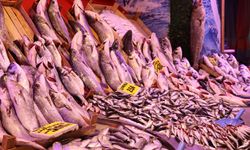 Soğuk havalar, balık tezgahlarını da vurdu