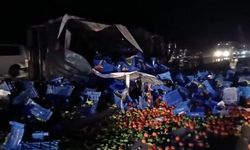 Eskişehir yolunda feci kaza: Meyve yüklü tır devrildi!