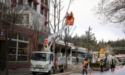 Eskişehir Büyükşehir'den kent merkezinde kış budaması