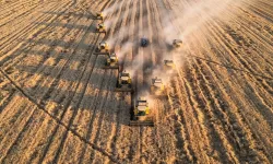 Bakanlık çiftçiye müjdeyi verdi: Ödemeler hesaplara yatırılmaya başlandı!