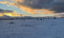 Çimsa, Bozüyük Beyaz Kalker Sahası ruhsatını geri çekti: "Şehitlik alanına saygı önceliğimiz"