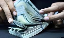 Merkez Bankası anketi açıkladı: Dolar için 51 lira beklentisi