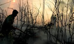 Doğal afetlerin faturası ağırlaştı: 2025’te küresel kayıp 260 milyar dolar