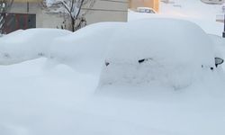 Yüksekova kara gömüldü: Kar kalınlığı yarım metreyi geçti
