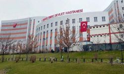 Eskişehir’de hastane bahçesinde ağaç kıyımı…