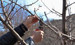 Eskişehir'de o eğitim için başvurular başladı: Kayıtlar dolmak üzere!