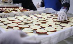 Eskişehir için ilham veren bir tarım modeli...