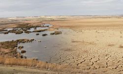 Sahip çıkılmazsa Balıkdamı elimizden kayıp gidecek!