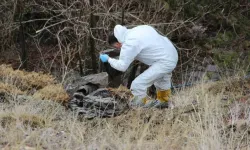Kan donduran olayda yeni gelişme: Yaşlı adamın kesik başı ormanda bulundu