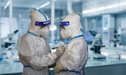 Tropikal virüs Avrupa kapısında: chikungunya alarmı