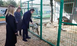 Başkan Ataç Doğal Yaşam Merkezi’nde incelemelerde bulundu