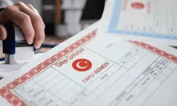 Yargıtay'dan ortak tapular için kritik karar: Satışlarda bu detaya dikkat!