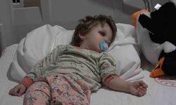 Yalova'da korkunç olay: Gürültü kavgası 14 aylık bebeği hastanelik etti!