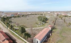 İnönü Belediyesi'nden surdurma çalışmaları