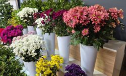 Eskişehir’de kadınlar günü hareketliliği: Çiçekçilere yoğun ilgi