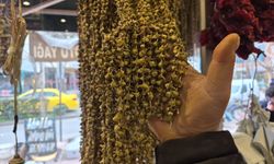 Fiyatıyla dikkat çeken kurutulmuş bamya 3 bin 500 TL'ye satılıyor