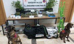 Eskişehir’de uyuşturucu operasyonu: 1 şüpheli yakalandı