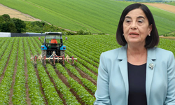 CHP’li Süllü çağrıda bulundu: “Tarımsal destekleri acilen ödeyin”