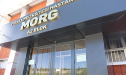 Yeğeni tarafından darbedilen yaşlı adam hayatını kaybetti