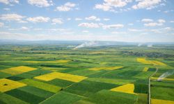 Eskişehir Alpu Ovası'nda bir zafer daha:  Mahkeme o işlemleri iptal etti!