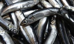 Savaş halindeki ülke ihracatta ilk sırayı aldı