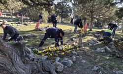 Büyükşehir’den şehitliklere anlamlı dokunuş: 18 Mart öncesi bakım ve temizlik çalışmaları