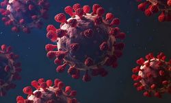 Türkiye’de Kovid-19’un ilk can kaybının üzerinden 6 yıl geçti