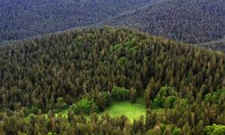 Eskişehir'de tepkiler art arda gelmişti: Milli Parklar Kanunu'nda değişiklik teklifi kabul edildi