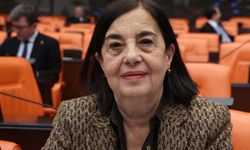 CHP Eskişehir Milletvekili Jale Nur Süllü: Hastane arsasının özelleştirilmesinde kamu yararı yok