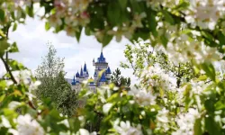 Eskişehir'de sıcaklık mevsim normalleri üzerinde