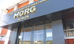 Motosikletin çarptığı yaya hayatını kaybetti