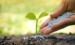 Eskişehir'de sahte gübre uyarısı: Çiftçinin emeği ve toprağın verimi tehlikede