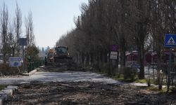 Eskişehir'in o parkı yenileniyor: Çalışmalar devam ediyor!