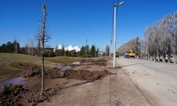 Sazova Parkı’nda büyük ağaçlandırma çalışması başladı