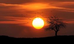 Son 11 yıl tarihin en sıcak dönemi olarak kayda geçti