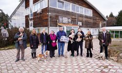 Tepebaşı Belediyesi patili canlara hem yuva hem sağlık sağlıyor