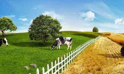 Eskişehir’de tarım ve hayvancılık için yeni önlemler geliyor