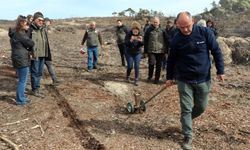 Eskişehir’de yangın sonrası ağaçlandırma çalışmaları başladı: O ilçede izler siliniyor!