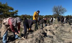 Eskişehir’de geleceğe nefes oldular: Fidanlar toprakla buluştu