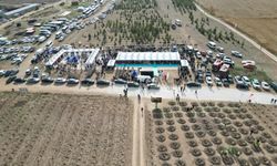 Eskişehir'de binlerce fidan toprakla buluşacak