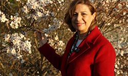 Adım adım şampiyonluğa