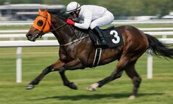 Mersin’de “yarış atı kavurma” skandalı: İş insanına 132 bin TL ceza