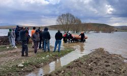 Mahsur kalan ineği AFAD kurtardı