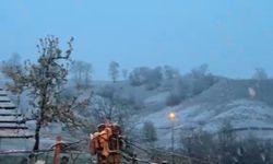 Bahar mevsiminde kar sürprizi